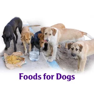 Foods For Dogs