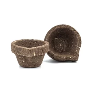 Cowdung Diya