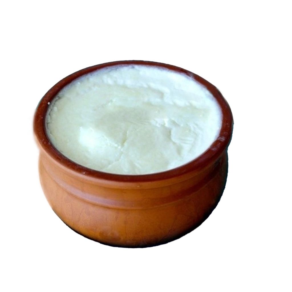 Fresh Dahi