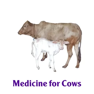 Medicine For Cows/Nandi