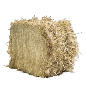 Straw For Cows/Nandi