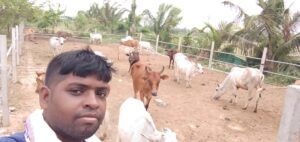 AT GOUSHALA