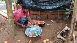 Watermelon for Cows and Nandi
