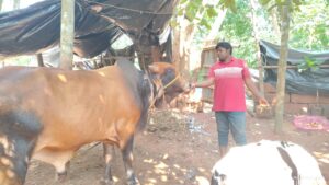 Nandan Eating Time