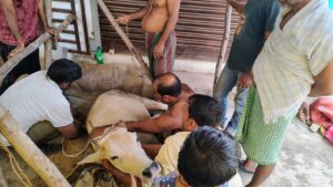 Cow Lifting on Accident Case at Chandanpur